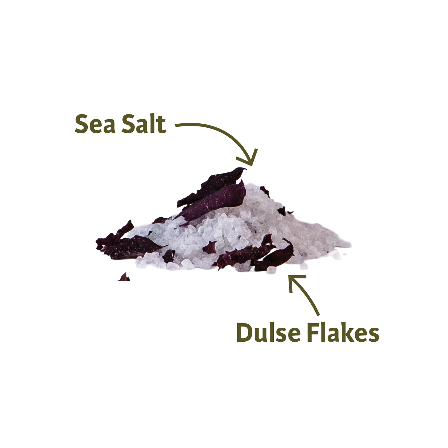 Dorset Spice Shed Seaweed Salt