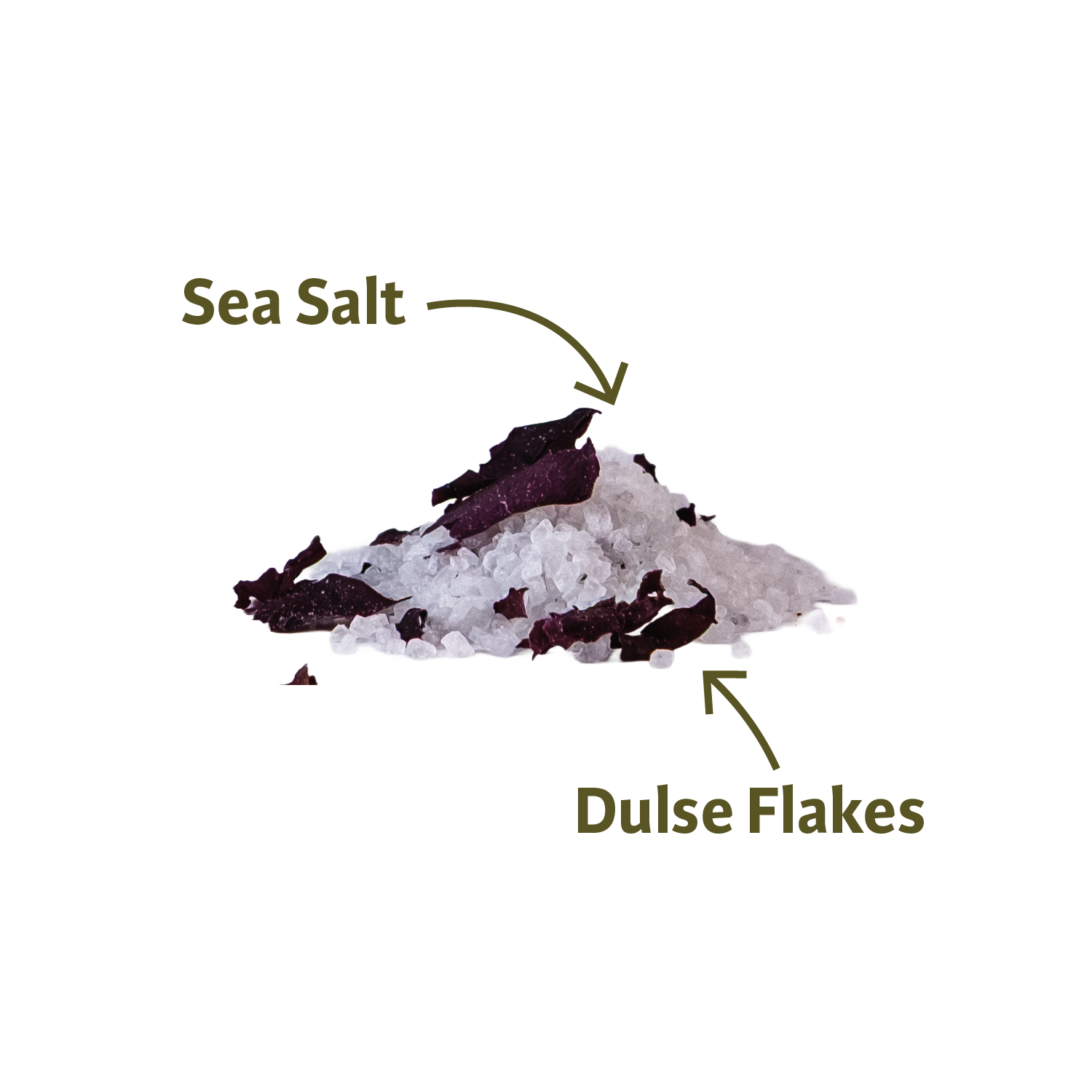 Dorset Spice Shed Seaweed Salt - Dorset Spice Shed